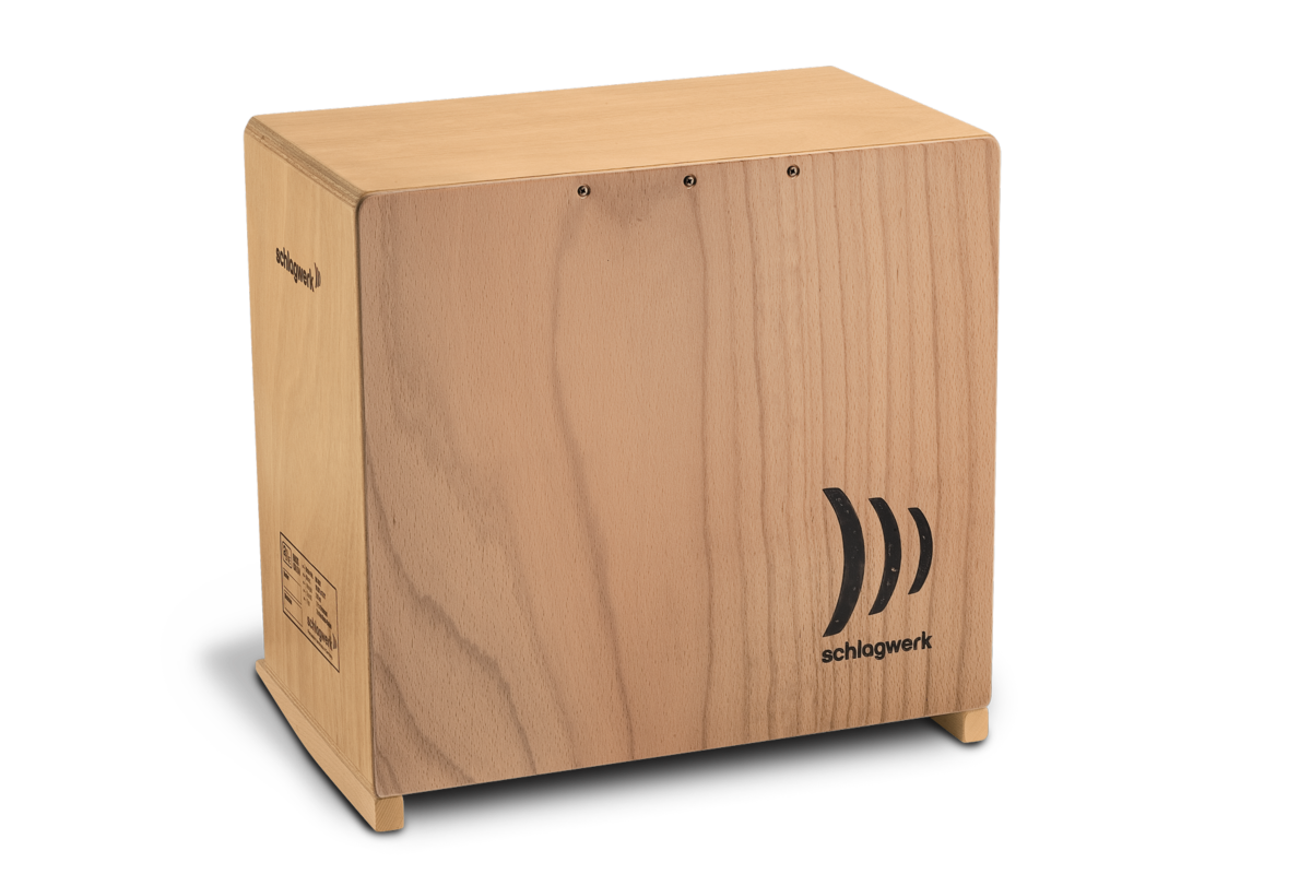 BC 462 2inone Bass Cajon