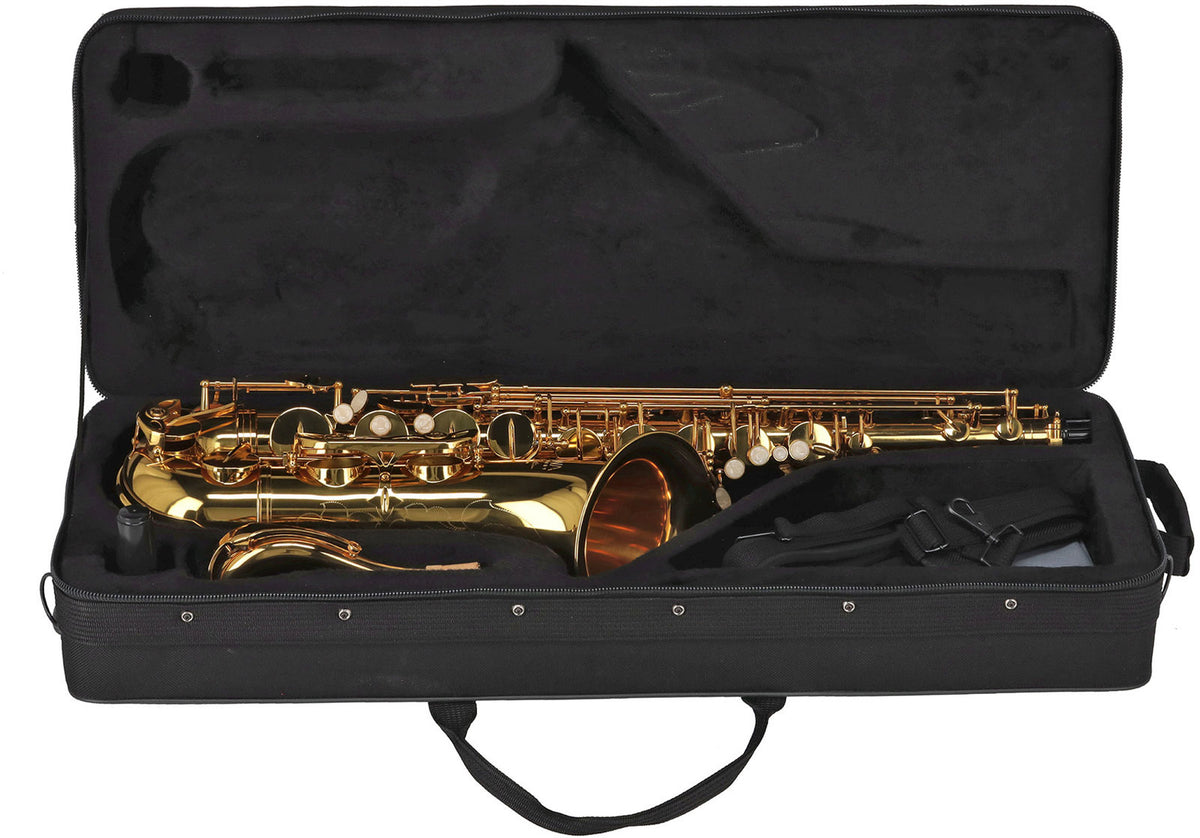 Ambition TS650 Ténor Sib Verni
