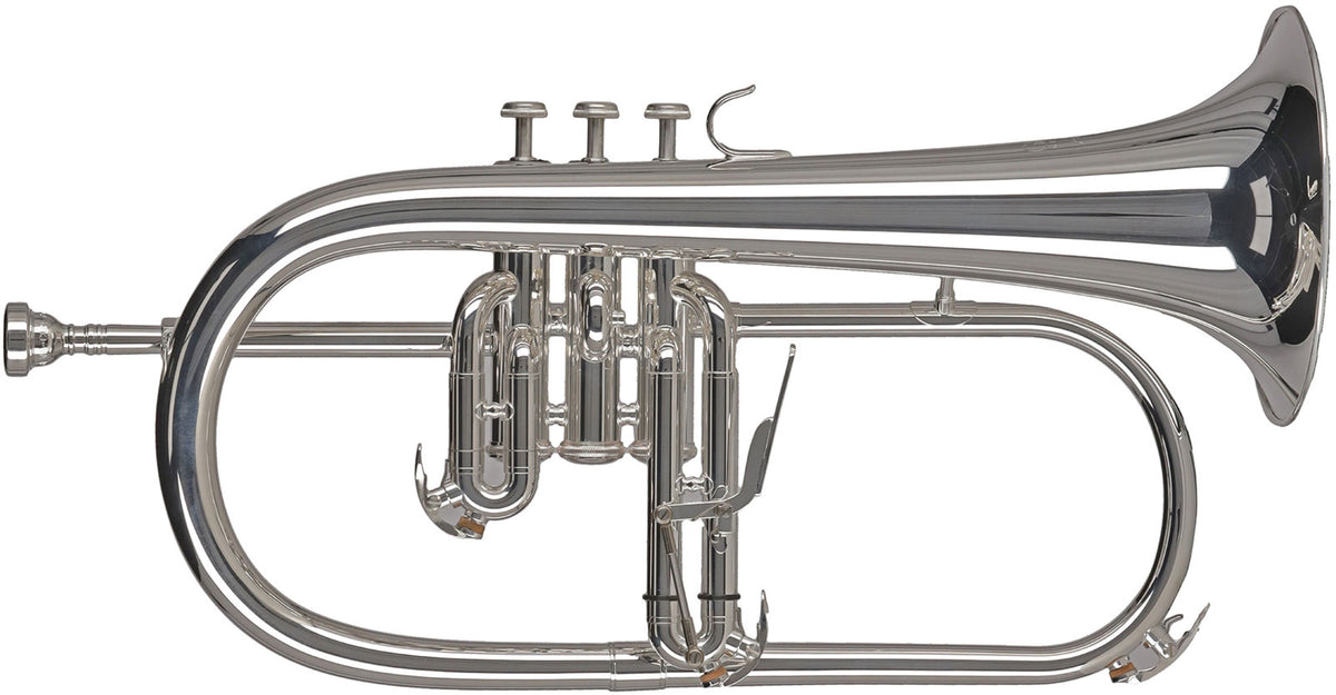 Gewa Ambition FH501S Sib Argenté
