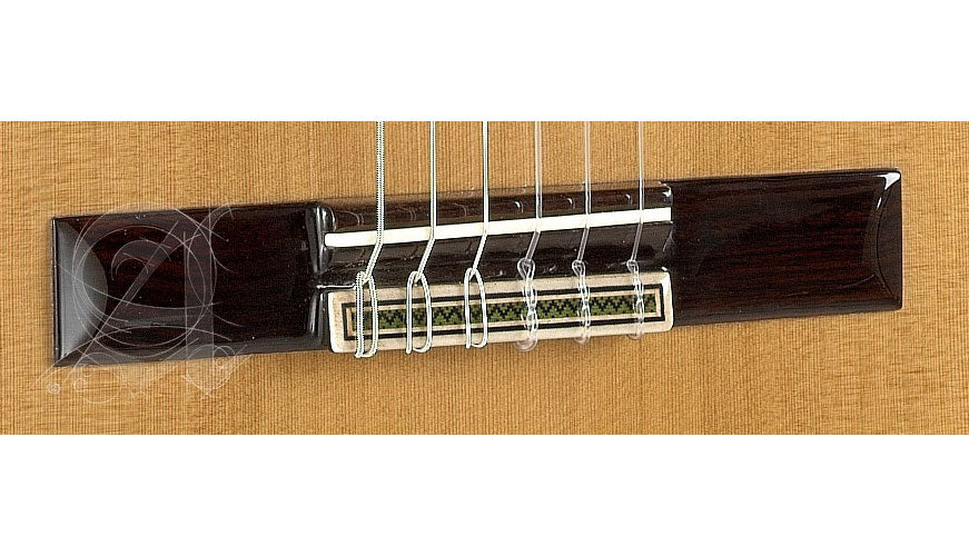Concert 9P + 9557 Etui