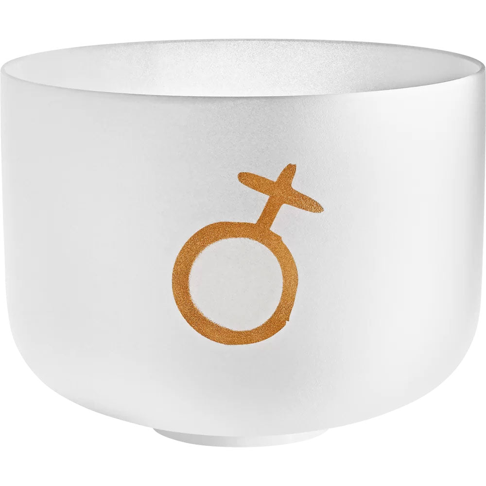 Singing Bowl Sonic Energy Cristal 12"