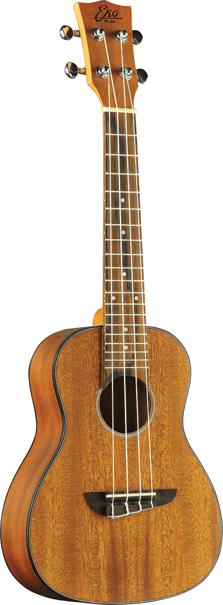 Eko Duo Concerto Pack Housse + Accessoires