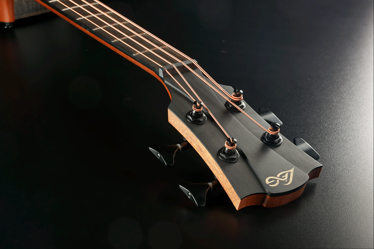 Sauvage Basse Electroacoustique Ctw