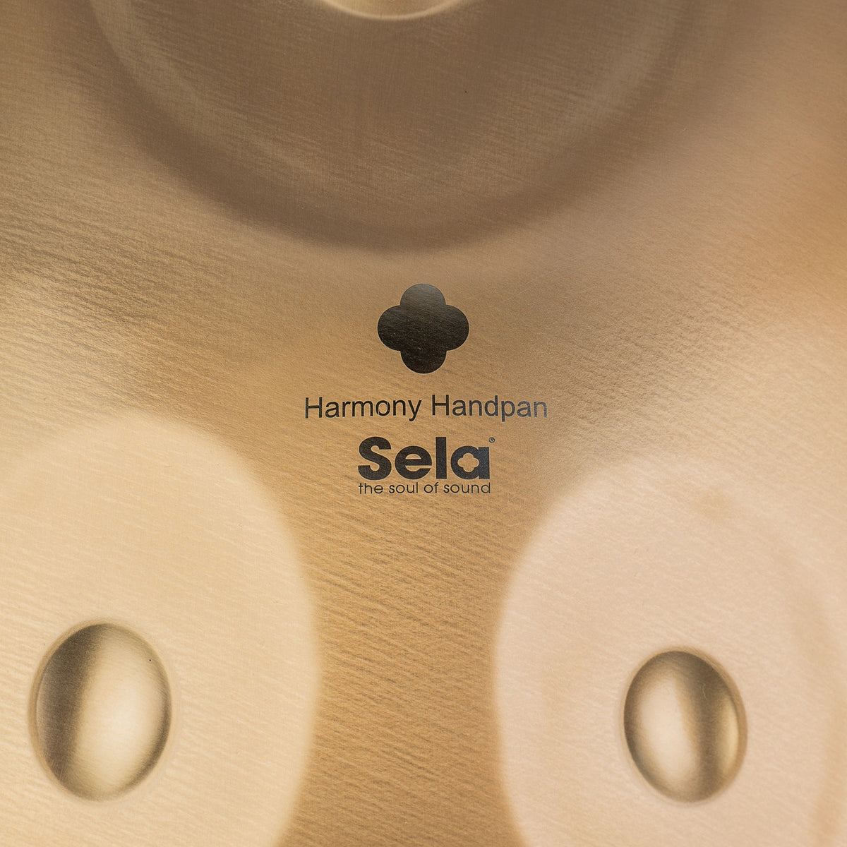 Majesty Handpan D Amara 20 (13+7) - Stainless Steel