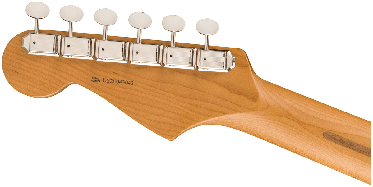 Stratocaster American Professional Classic LTD, Roasted MN, Daphne Blue
