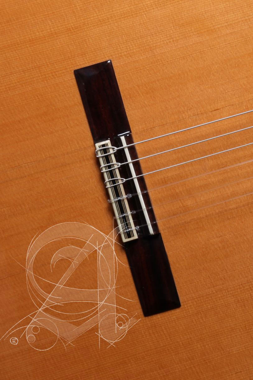 Conservatoire 7C Classic + 9738 25mm Housse