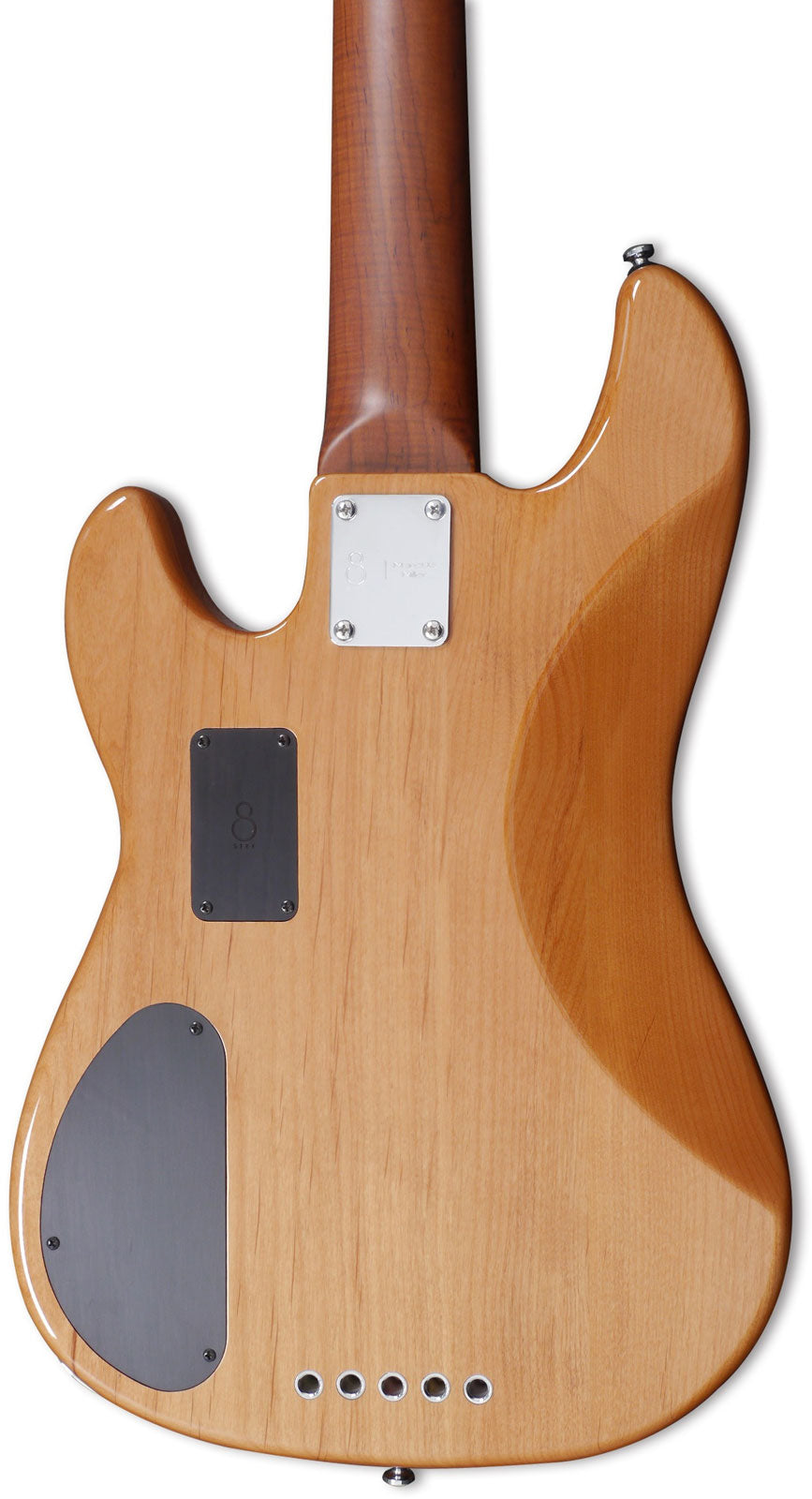 P10 Alder-5 Nt En