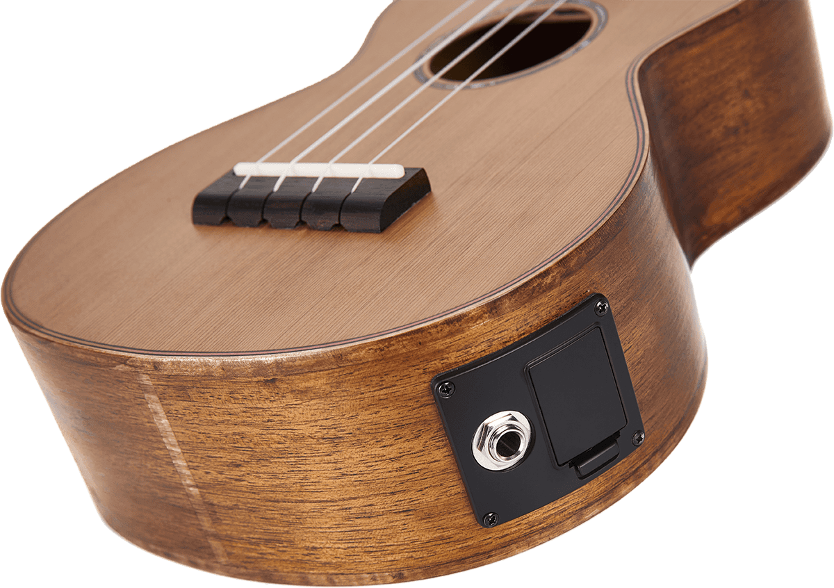 Baryton Naturel Électro + Housse