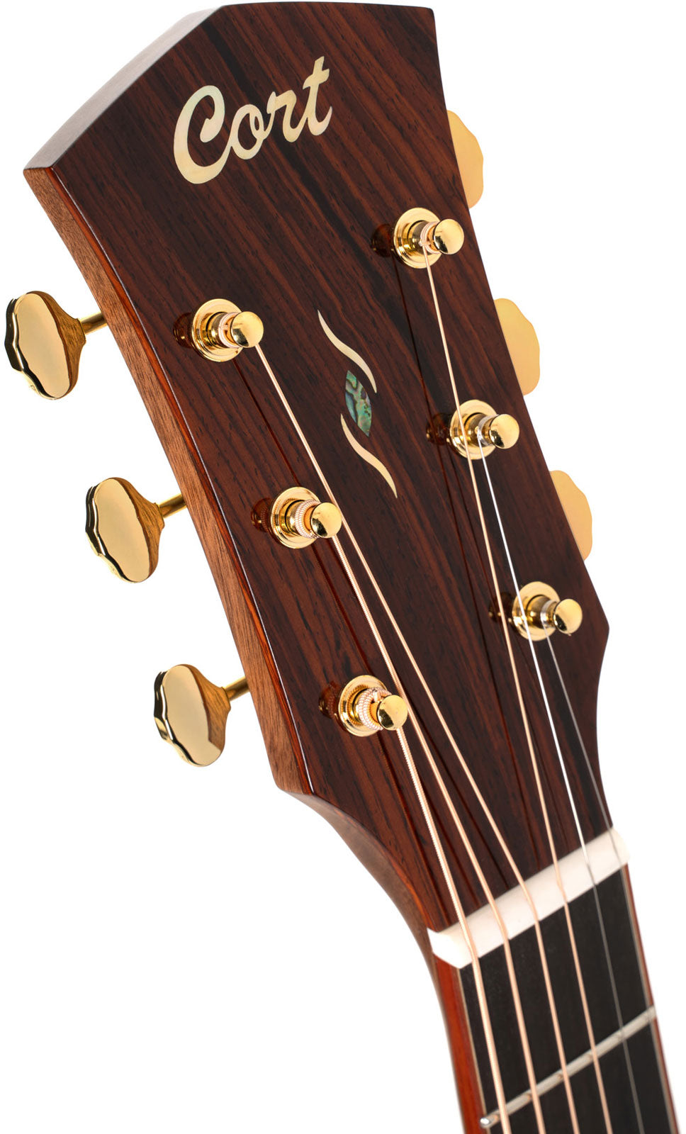 Gold A10 Cocobolo Naturel Brillant
