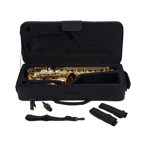 WSA100 - Alto Mi B Verni