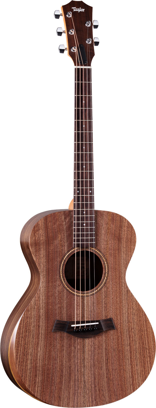 Jacob Collier Signature Model Academy 22e 5-string Natural Grand Concert