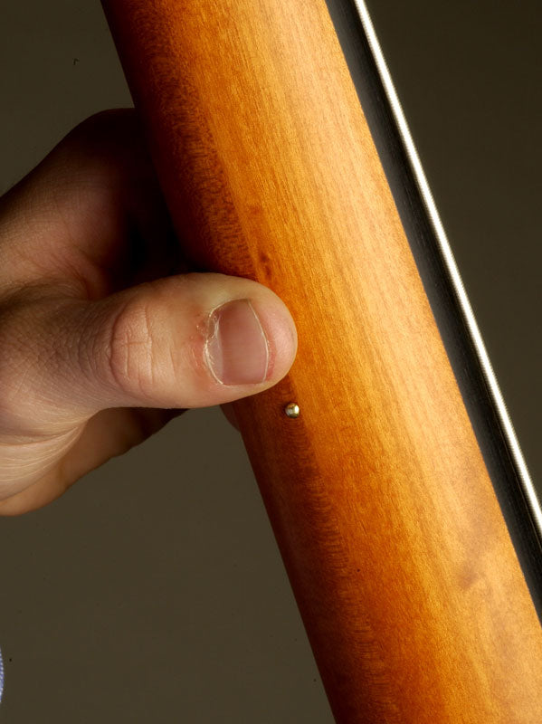 CR Traditionnelle - Contrebasse Électrique (5 Cordes)
