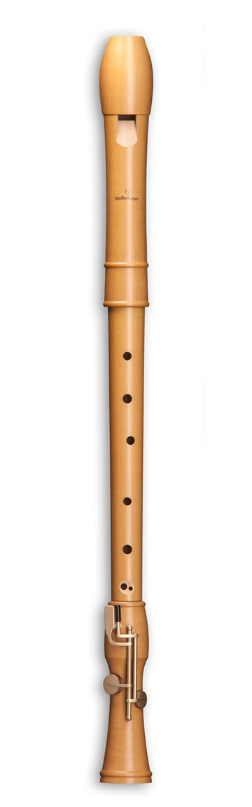 Canta Ténor 2446 - Poirier (doigté Baroque)