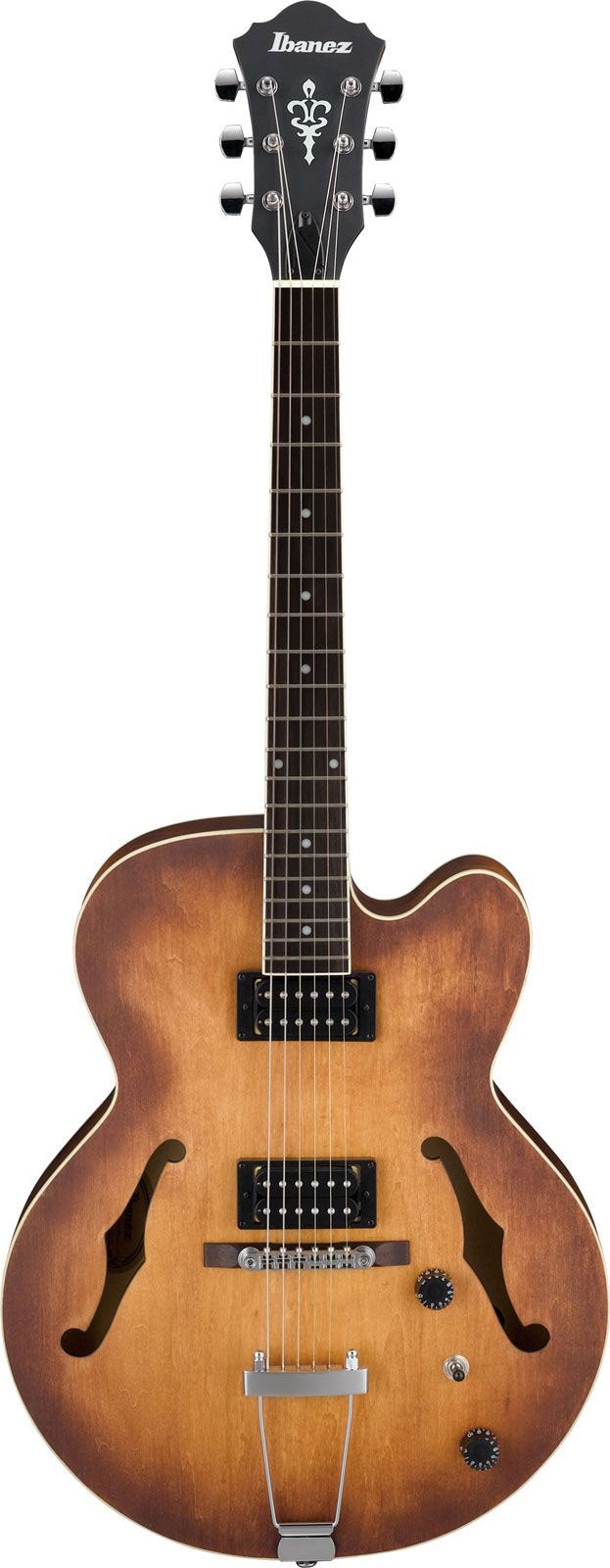 Guitares électriques Hollow body