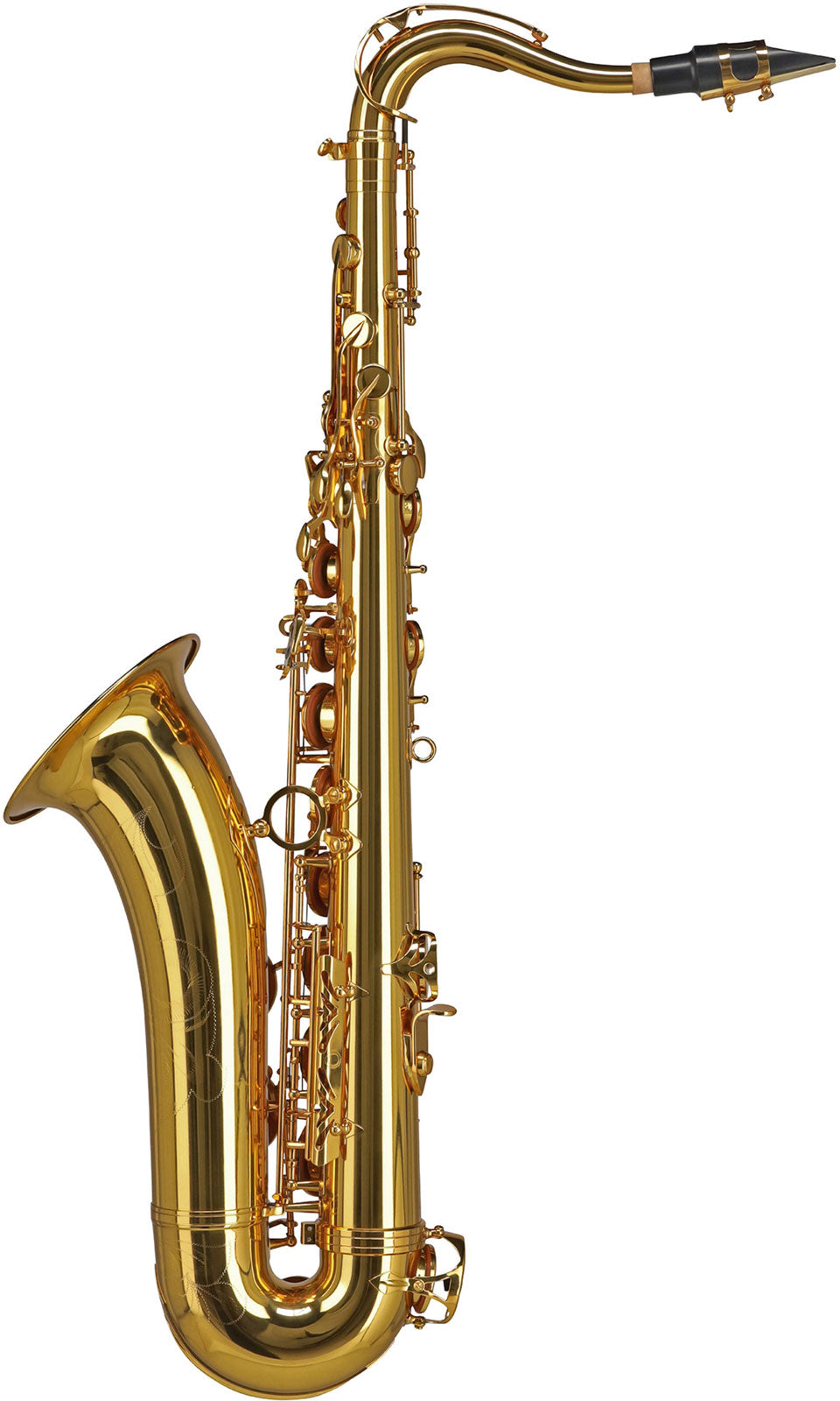 Ambition TS650 Ténor Sib Verni