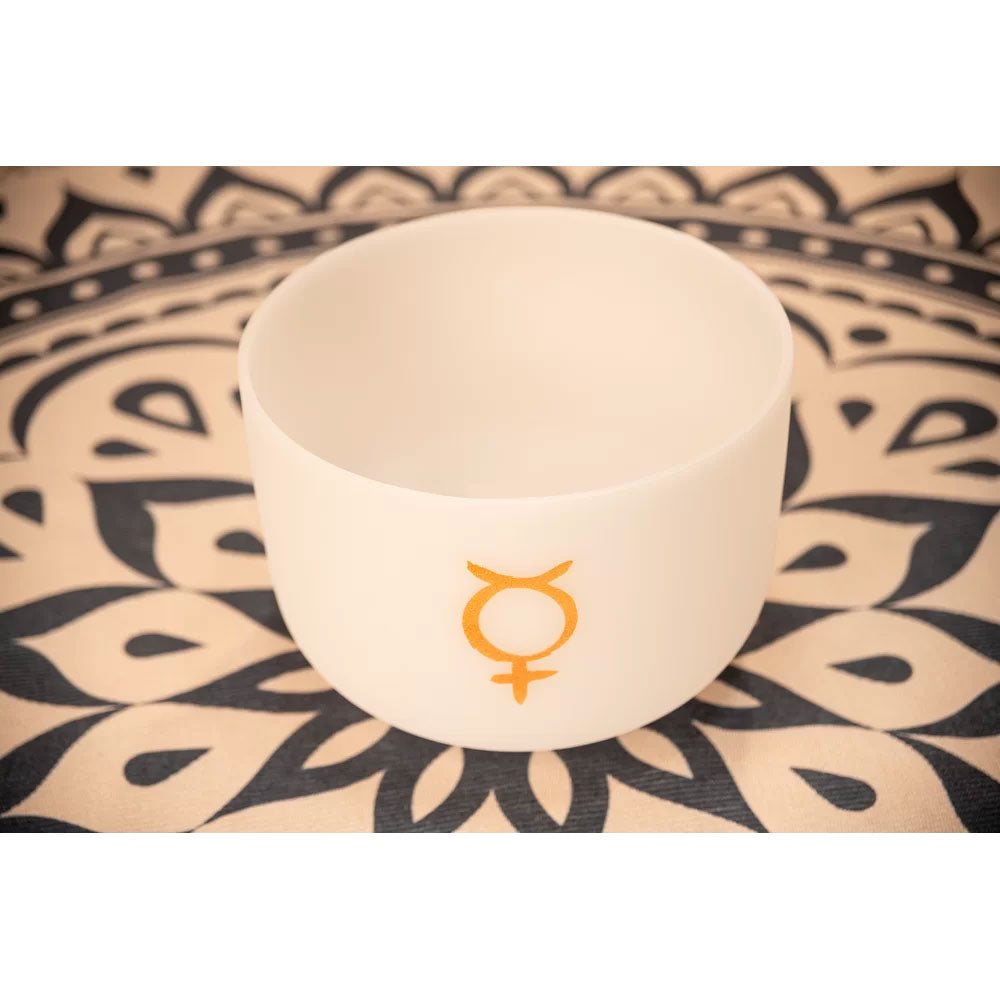 Singing Bowl Sonic Energy Cristal 12"