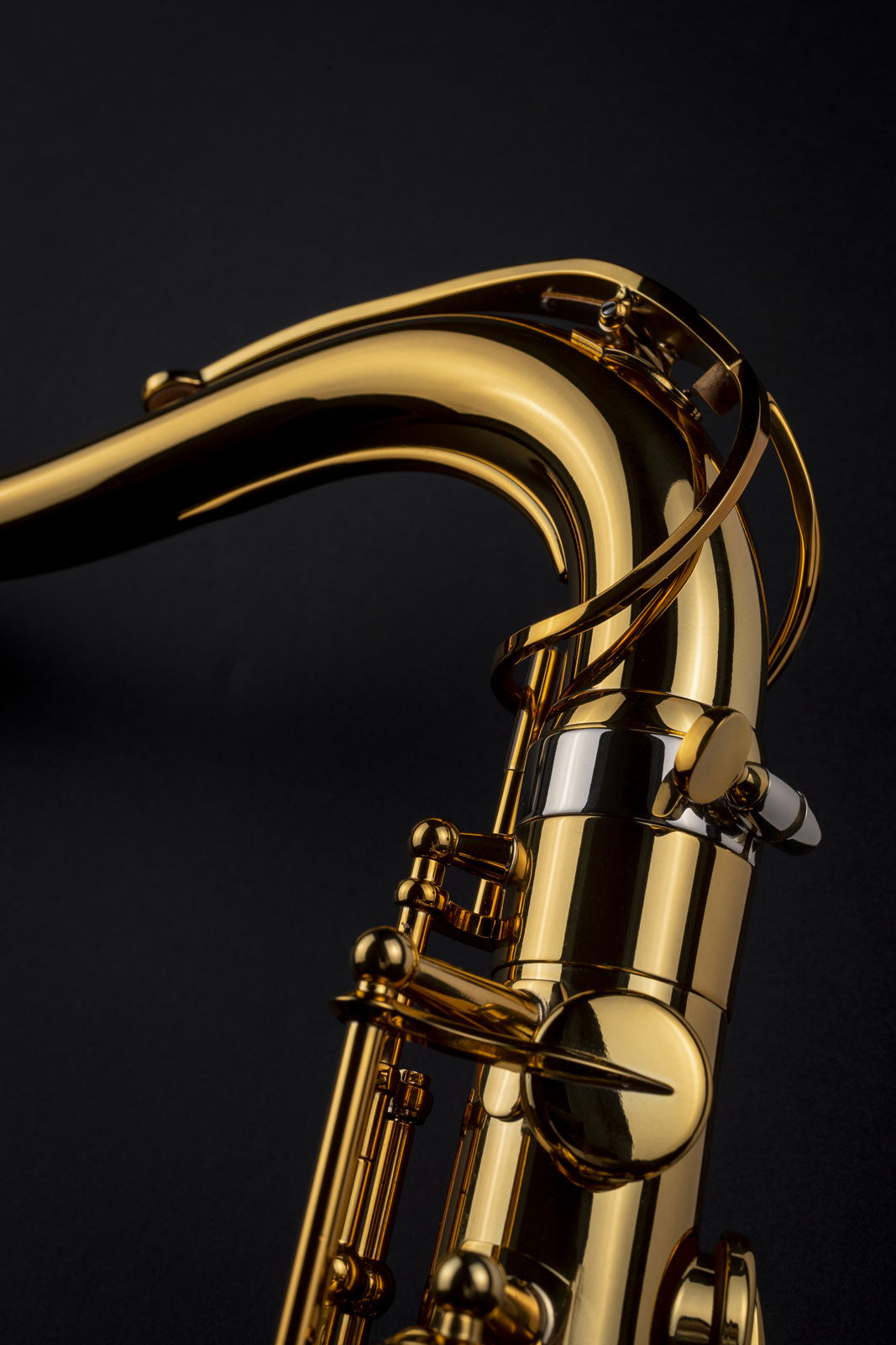 Signature - Ténor Sib Verni