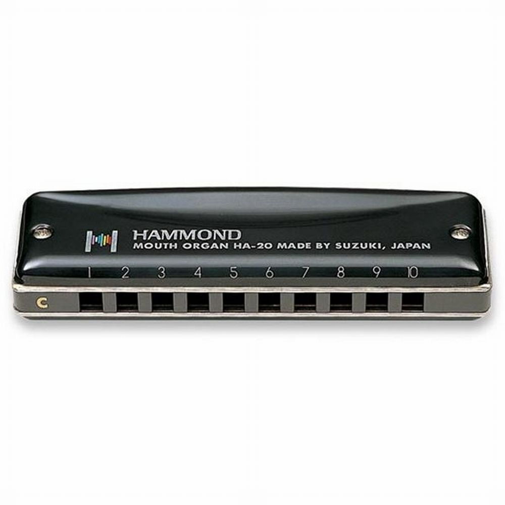 Suzuki Hammond C/do - 10 Trous