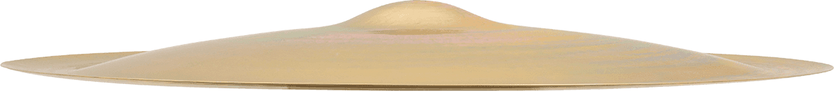Neil Peart 20" Paragon China