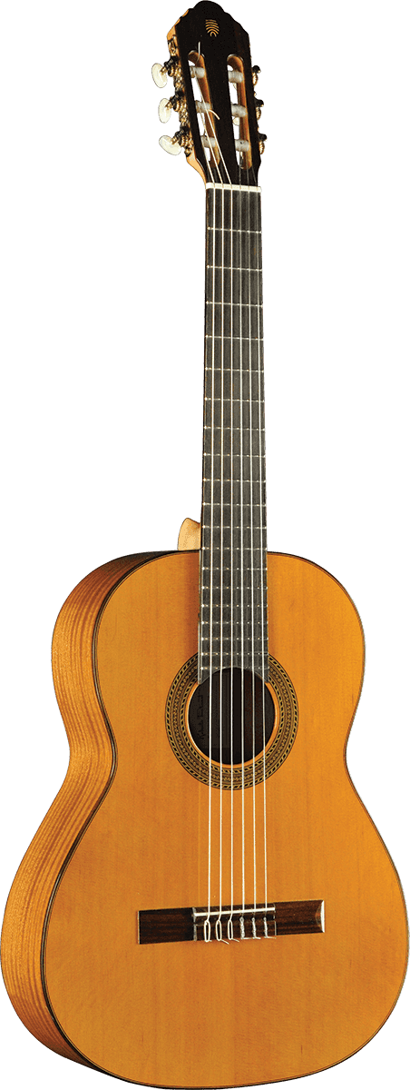 Vibra 300 4/4 Natural