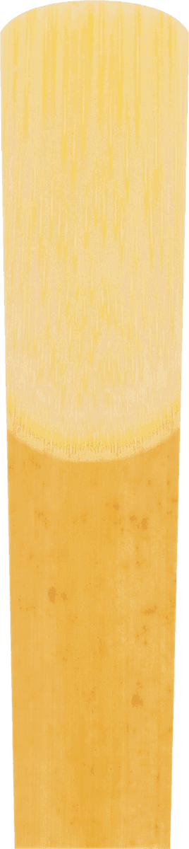 V21 4 - Saxophone Alto