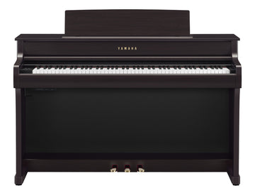 CLP-845 Palissandre