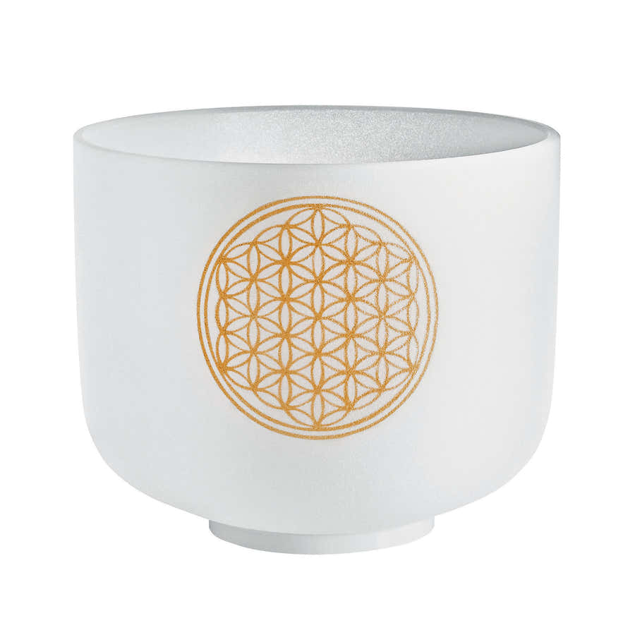 Singing Bowl Sonic Energy Cristal 8"