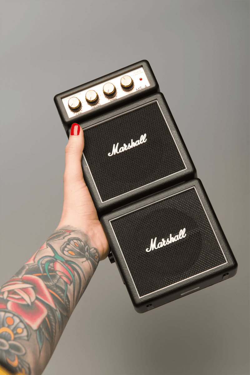 Mini MS4