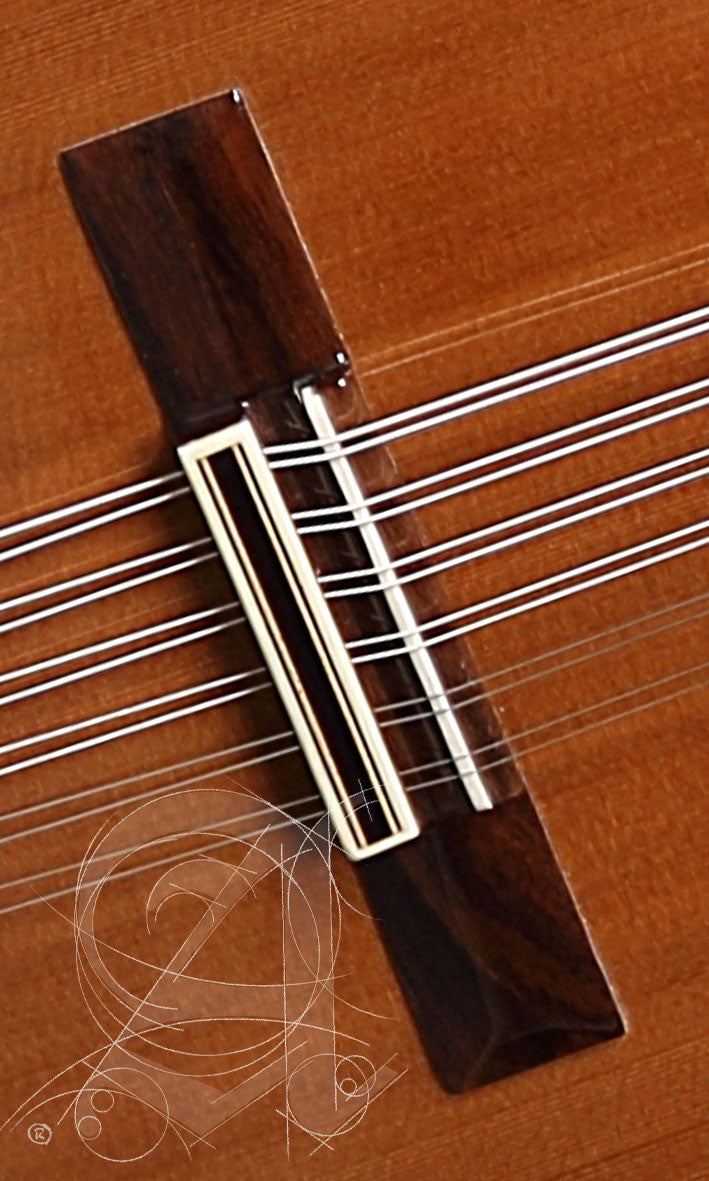 Conservatoire L-4P Lutes + 9534 Housse