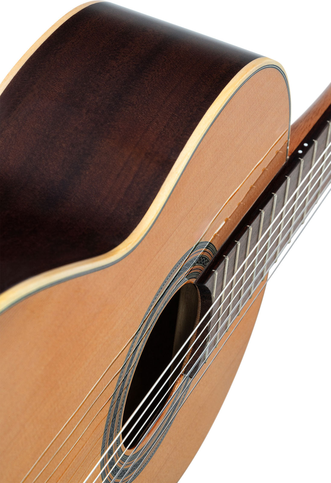 Traditional 4/4 + Pro Gig Bag