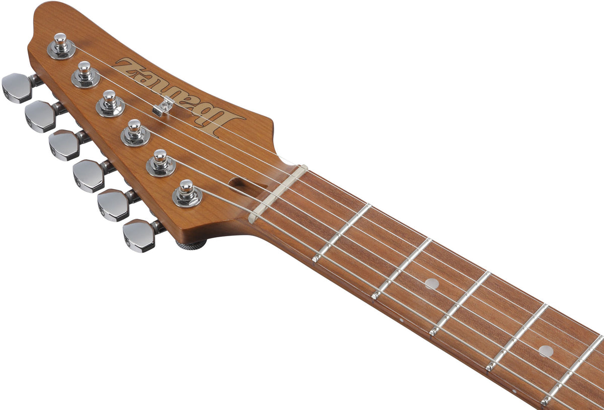 AZ24S1F-TKS Standard Transparent Black Sunburst