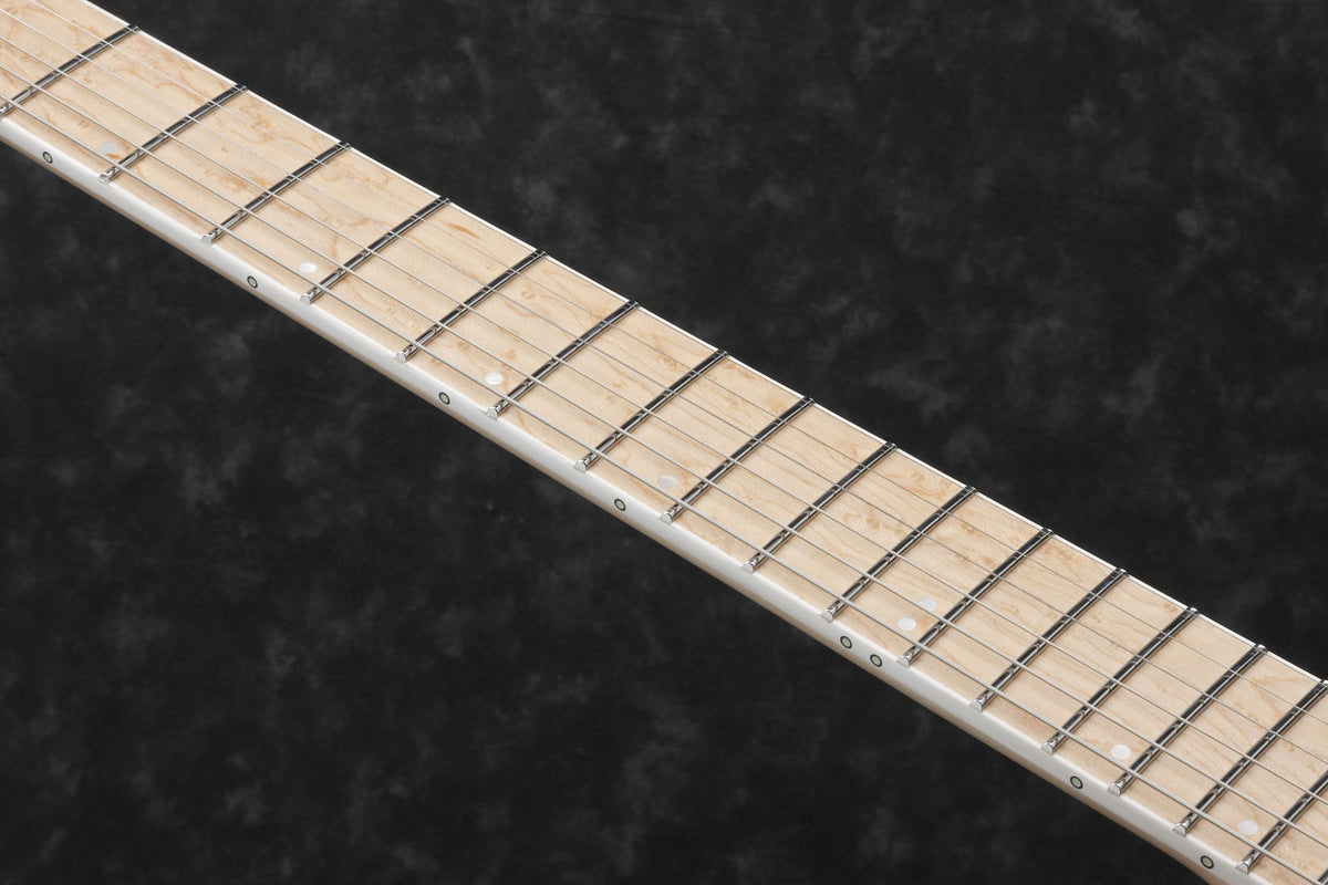 RG5120M-PRT Polar Lights Prestige