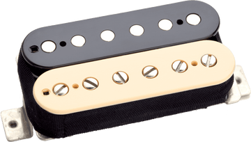 APH-1b-z - Alnico II Pro HB Chevalet Zebra