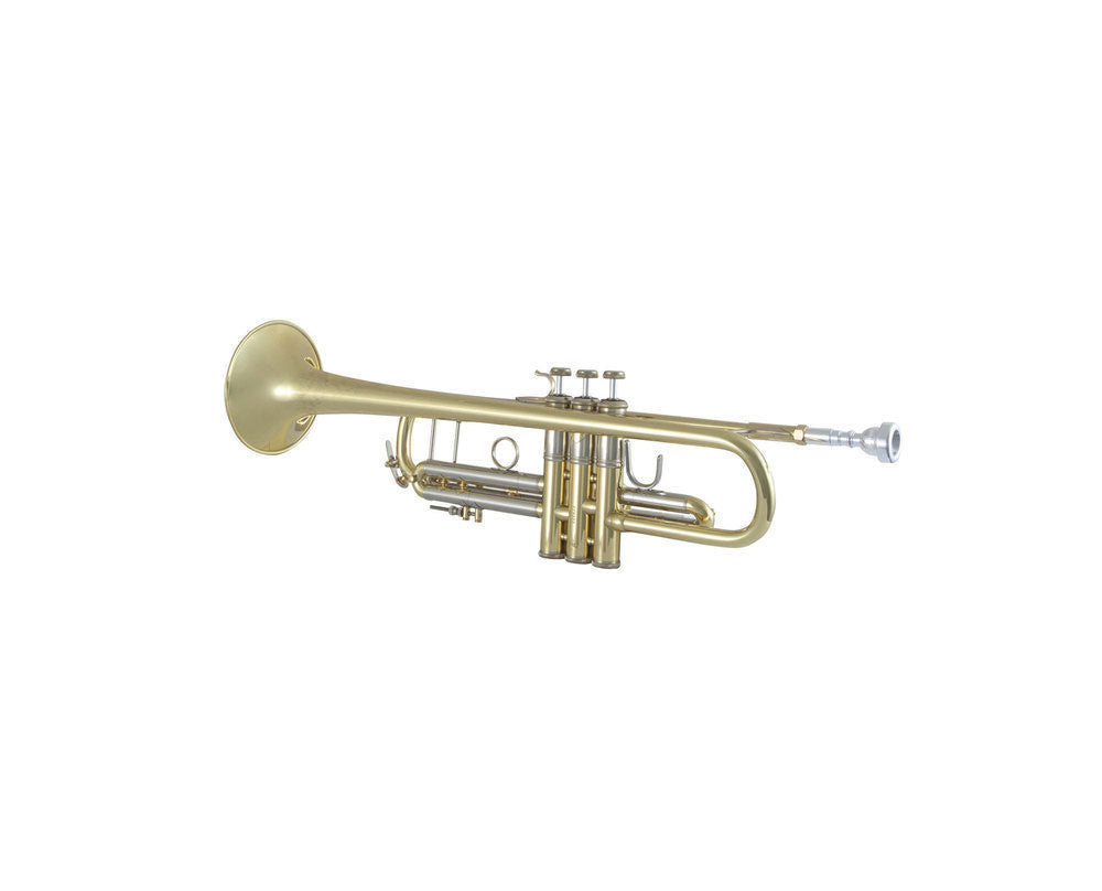 19043 Stradivarius - Sib Vernie