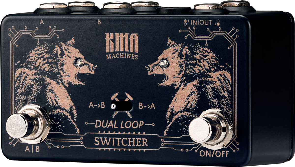 Dual Loop Switcher