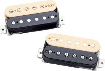 APH-2s ZRZ Reverse Zebra Set 2 Slash AlNiCo 2 Pro