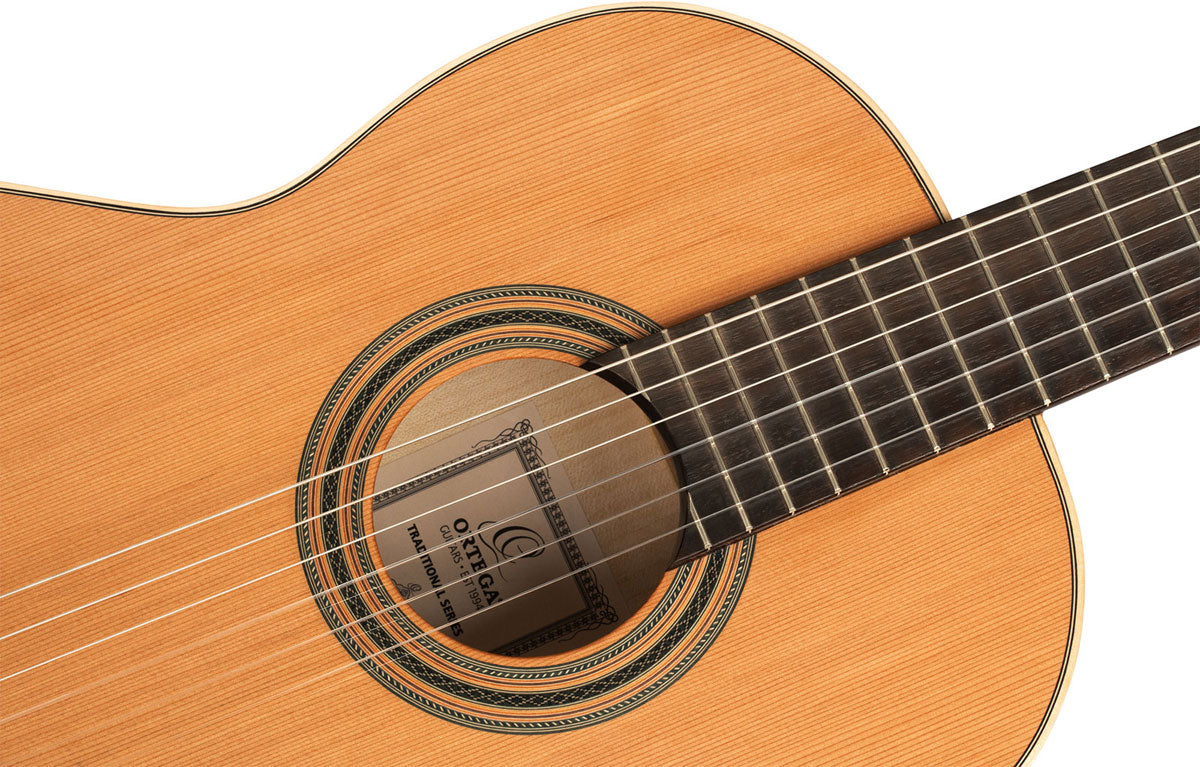Traditional 4/4 + Pro Gig Bag