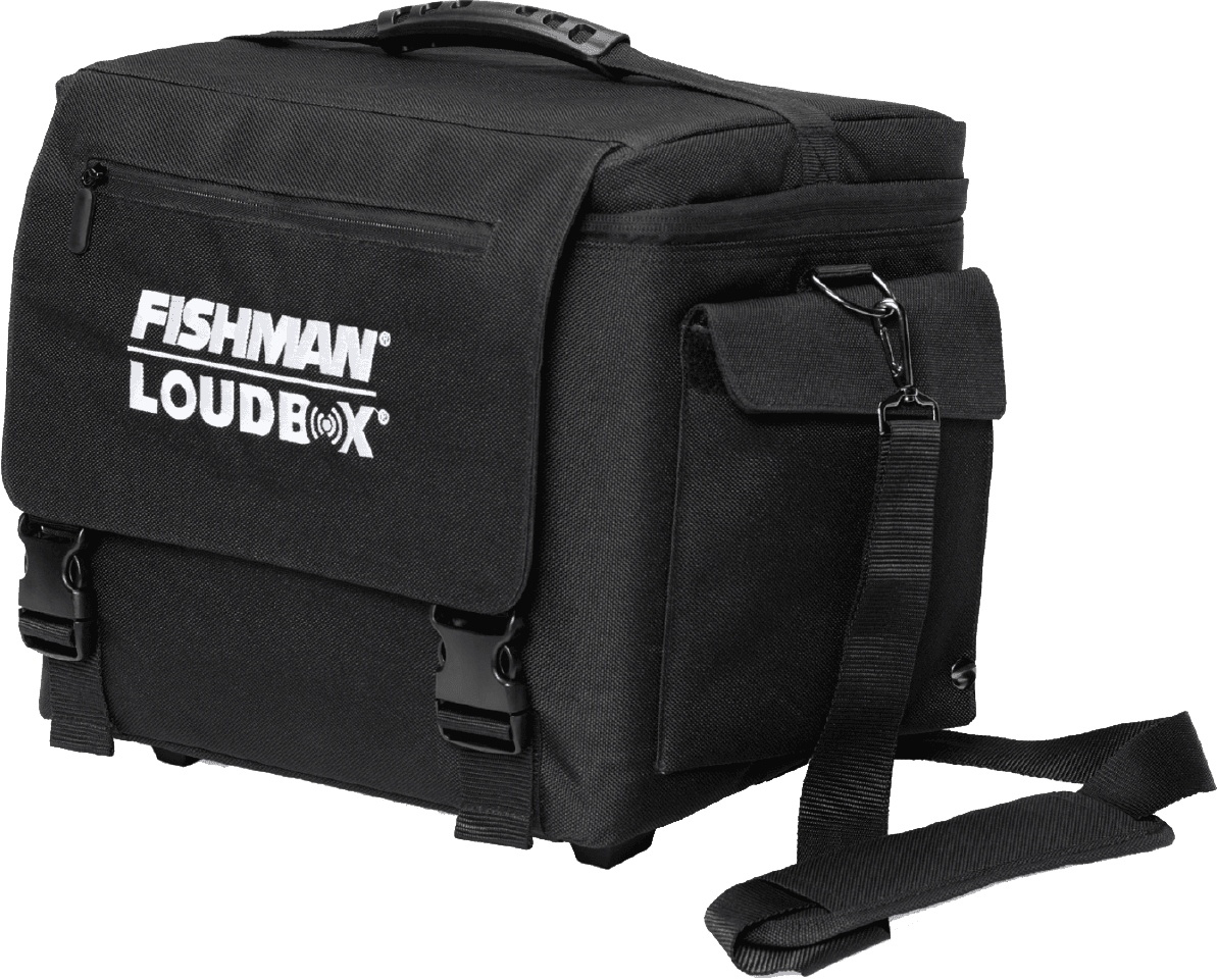 Fishman Loudbox Mini Deluxe
