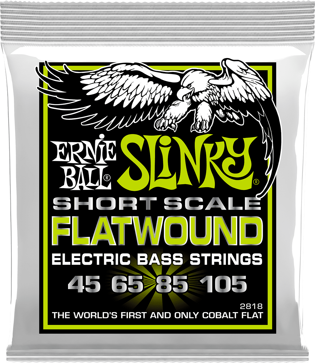 Ernie Ball 2818 Filet Plat Regular Slinky Flatwound Short Scale 45-105
