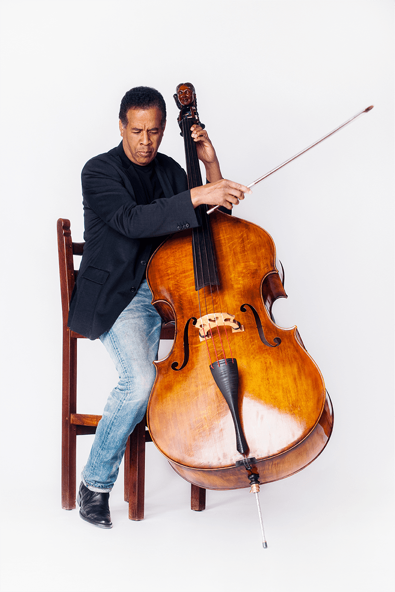 Preampli Basse Acoustique Stanley Clarke 2 Canaux