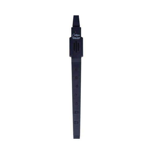 Digital Wind Instrument Noir