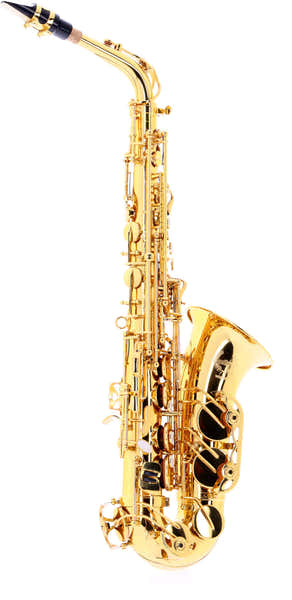WSA300 - Alto Mib Verni