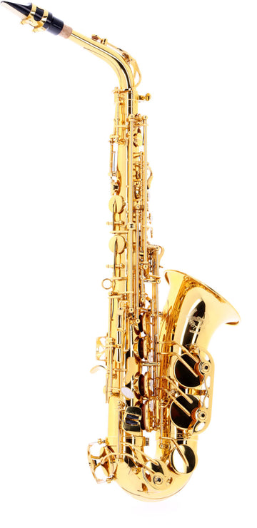 WSA300 - Alto Mi B Verni