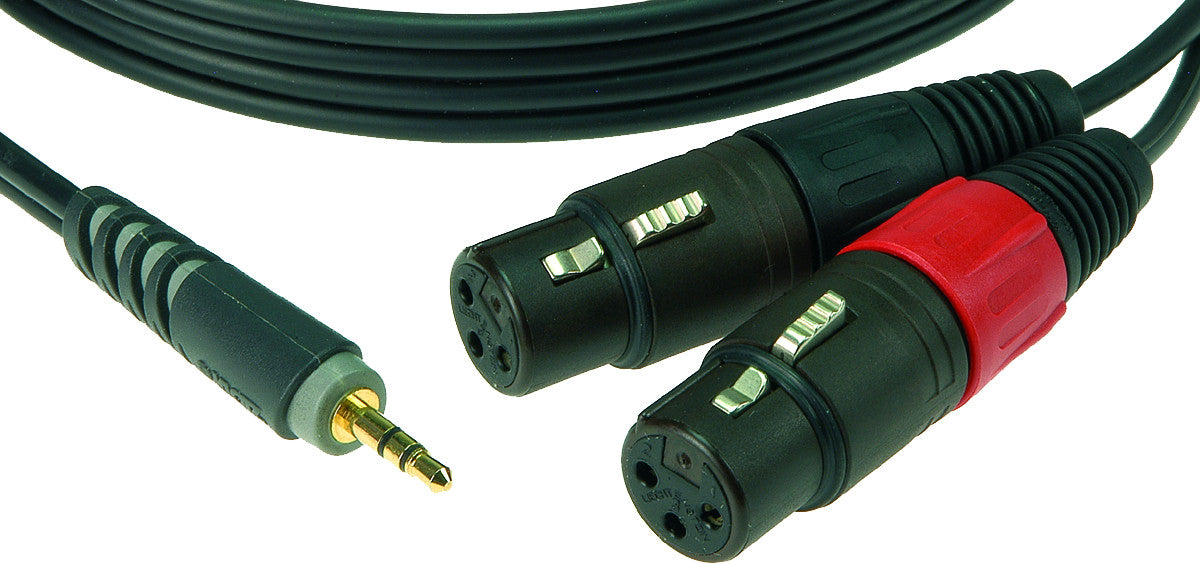 Cable Y 1 M Mini Jack 3P - 2XLR Femelle