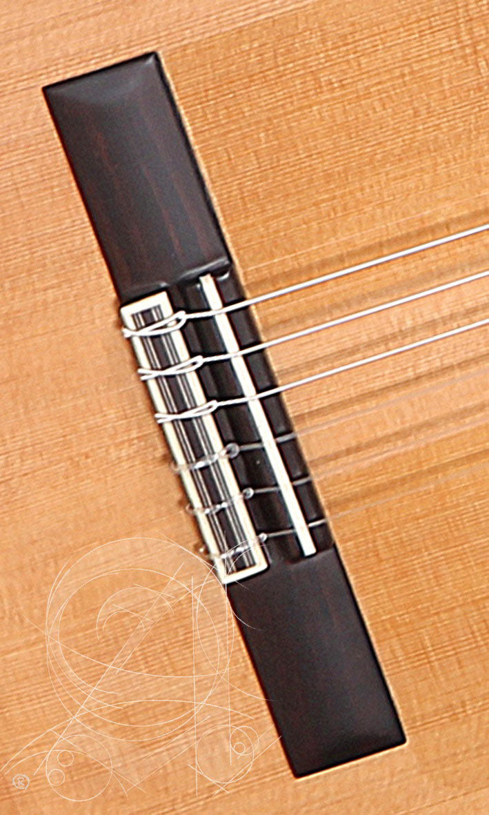Conservatoire 5FP Op Piñana Flamenco + 9738 25mm Housse