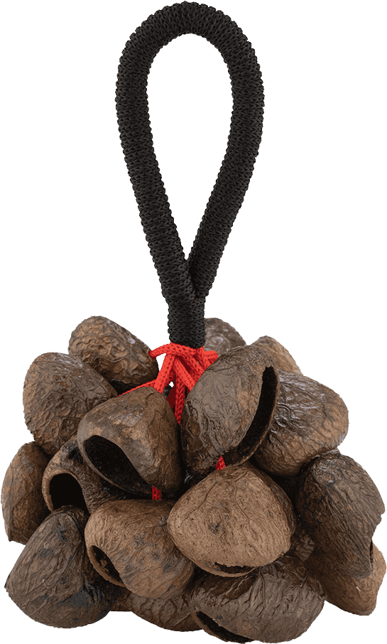 PBPGRH14 Nut Shaker Pangi Avec Poignee