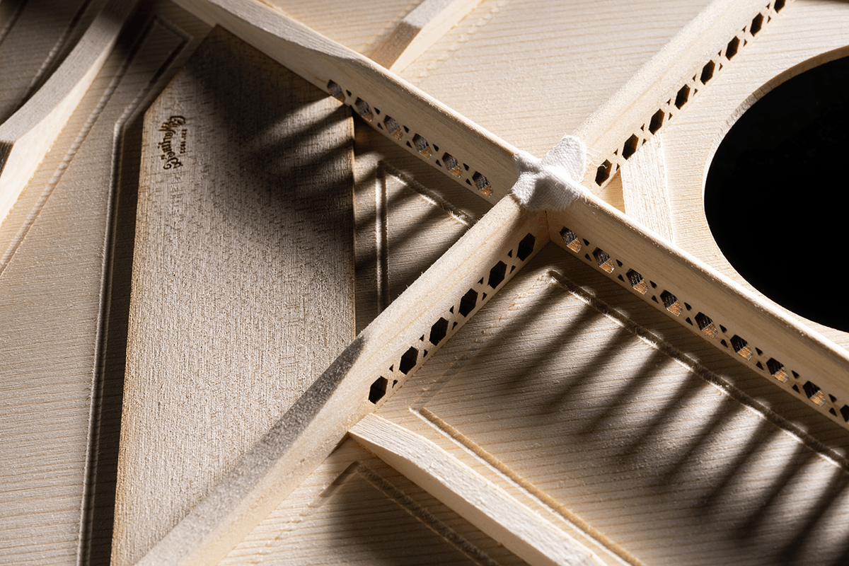 Gpce Inception Maple