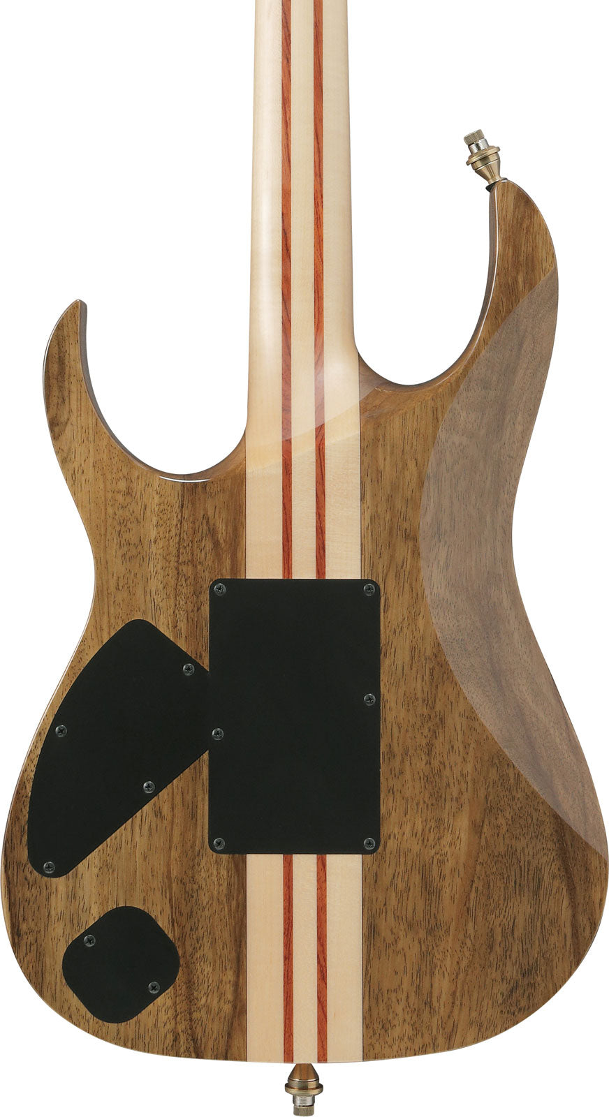 IV2RG Ibanez VISIONS