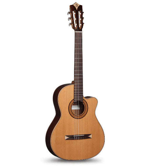 Concert Cs-1 Cw E1 Crossover + 9738 25mm Housse