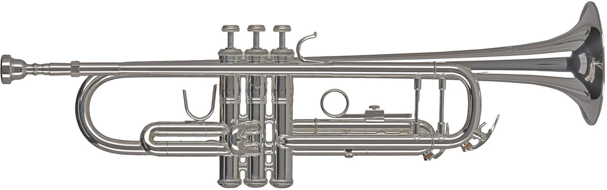Ambition TR501S Sib Argentée